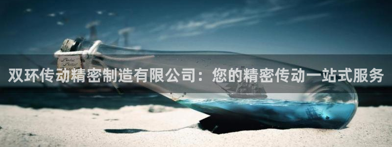 彩神8购彩-购彩大厅：双环传动精密制造有限公司：您的精密传动一站式服务