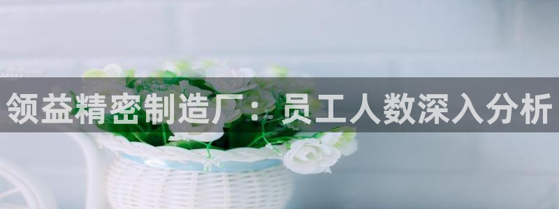 彩神是正规平台吗安全吗：领益精密制造厂：员工人数深入分析