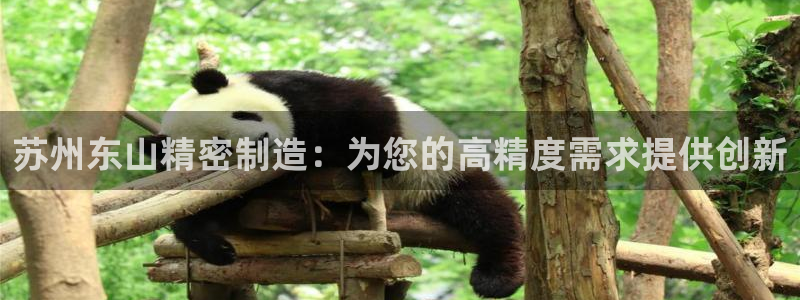 彩神大发黑平台：苏州东山精密制造：为您的高精度需求提供创新