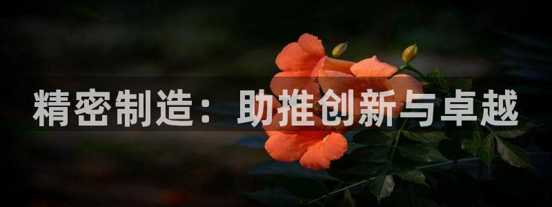 彩神VI首页：精密制造：助推创新与卓越