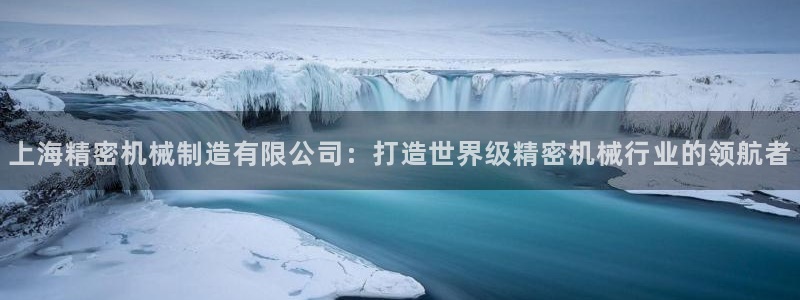 彩神网能赚钱是怎么回事：上海精密机械制造有限公司：打造世界级精密机械行业的领航者