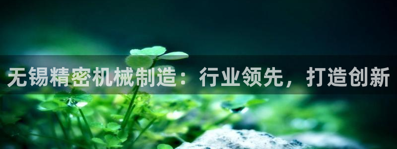 彩神iv能赚钱吗：无锡精密机械制造：行业领先，打造创新