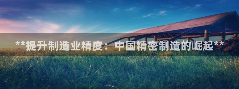 彩神8app官方下载：**提升制造业精度：中国精密制造的崛起**