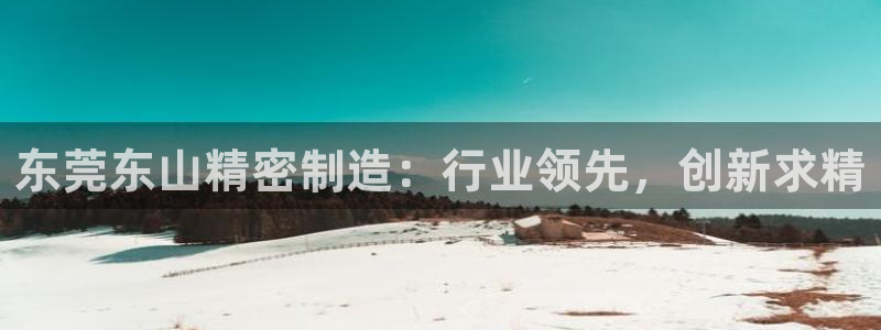 彩神v8手机客户端在哪：东莞东山精密制造：行业领先，创新求精