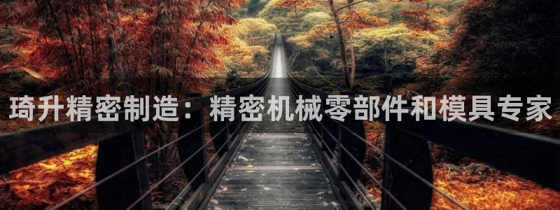 彩神viii下载安卓：琦升精密制造：精密机械零部件和模具专家