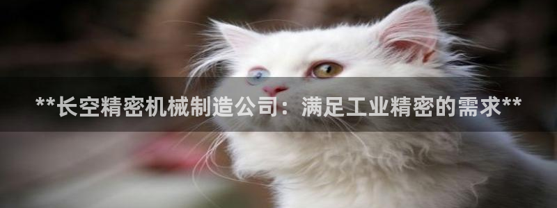 彩神购彩购彩大厅入口v：**长空精密机械制造公司：满足工业精密的需求**