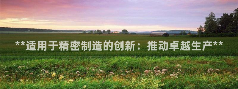 下载彩神乐发V1：**适用于精密制造的创新：推动卓越生产**