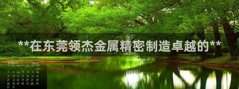 彩神vip购彩大厅下载：**在东莞领杰金属精密制造卓越的**