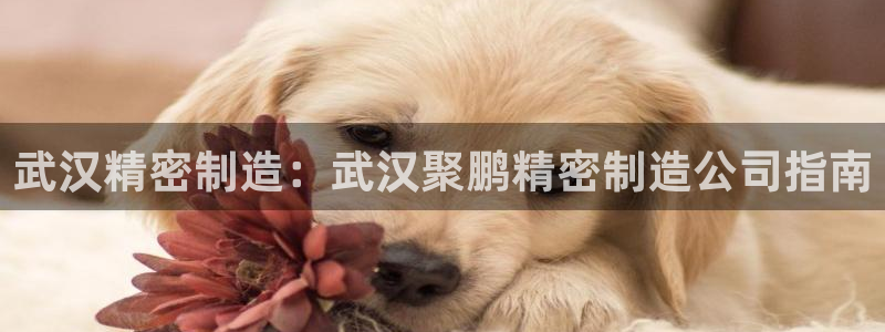 彩神骗局：武汉精密制造：武汉聚鹏精密制造公司指南
