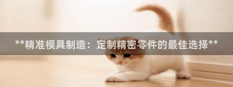 彩神官方登录：**精准模具制造：定制精密零件的最佳选择**