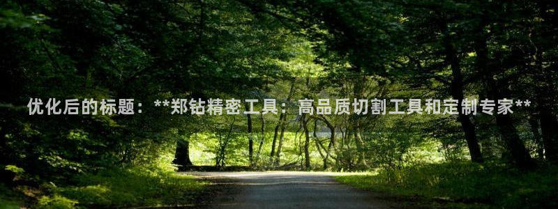 彩神vlll(中国)百度百科：优化后的标题：**郑钻精密工具：高品质切割工具和定制专家**