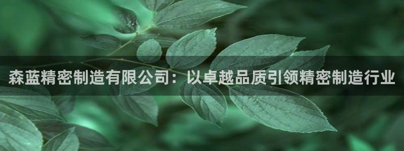 下载彩神通关注金码：森蓝精密制造有限公司：以卓越品质引领精密制造行业