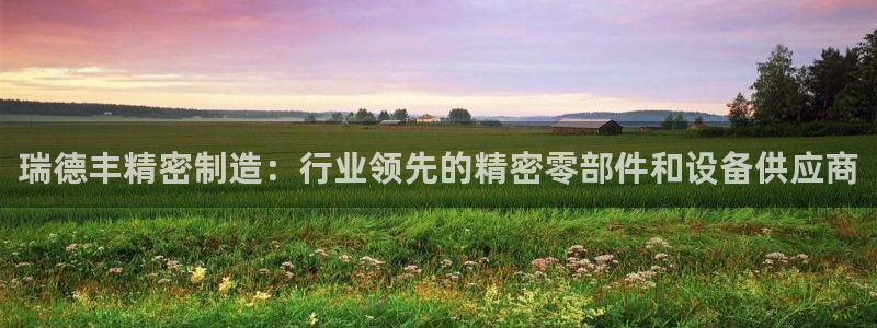 彩神v8手机客户端怎么下载：瑞德丰精密制造：行业领先的精密零部件和设备供应商