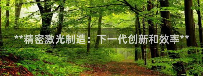 彩神大发cp：**精密激光制造：下一代创新和效率**