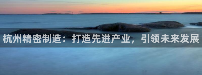 彩神vii购彩l心：杭州精密制造：打造先进产业，引领未来发展
