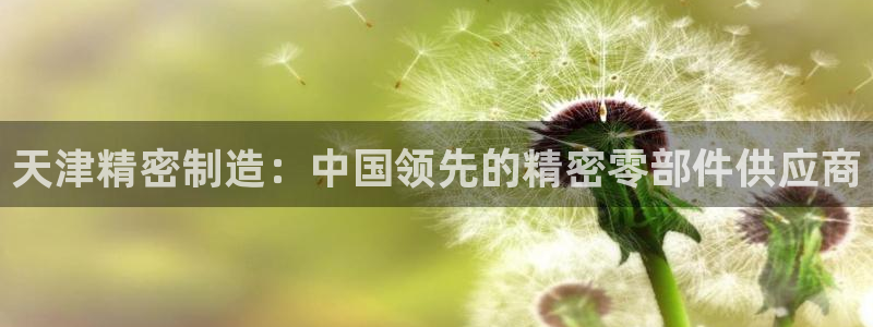 彩神vii官网：天津精密制造：中国领先的精密零部件供应商