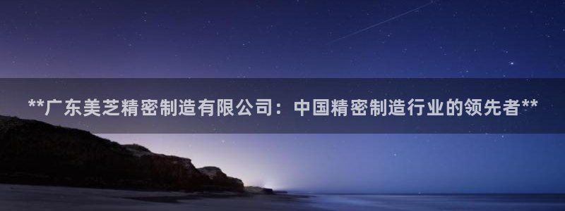 大发彩神最高邀请码：**广东美芝精密制造有限公司：中国精密制造行业的领先者**