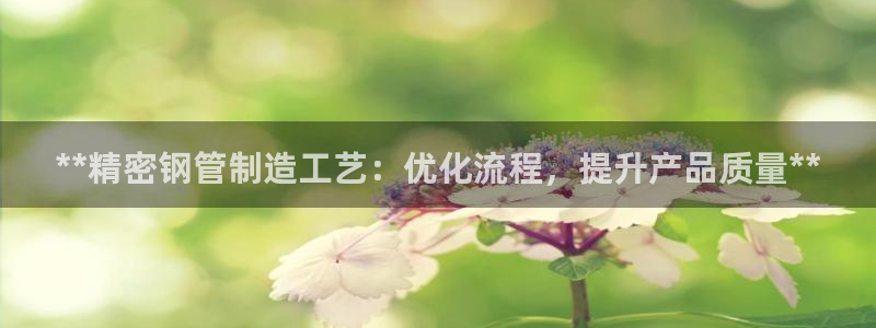 新版彩神v8登录不了：**精密钢管制造工艺：优化流程，提升产品质量**