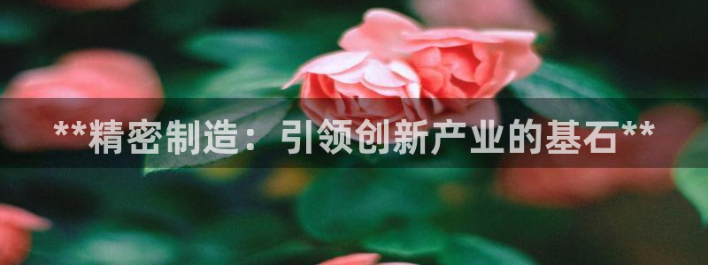 彩神vll官网-最新版app下载：**精密制造：引领创新产业的基石**