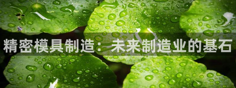 彩神app能挣到钱吗：精密模具制造：未来制造业的基石