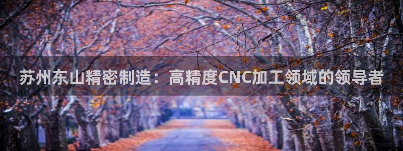 彩神到底能不能赚钱：苏州东山精密制造：高精度CNC加工领域的领导者