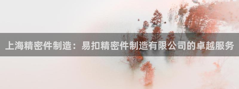 彩神xapp官方网站：上海精密件制造：易扣精密件制造有限公司的卓越服务