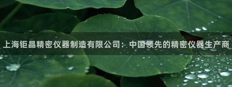 彩神大发黑平台：上海钜晶精密仪器制造有限公司：中国领先的精密仪器生产商