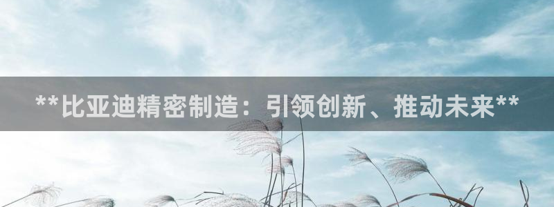 彩神ii官方网：**比亚迪精密制造：引领创新、推动未来**