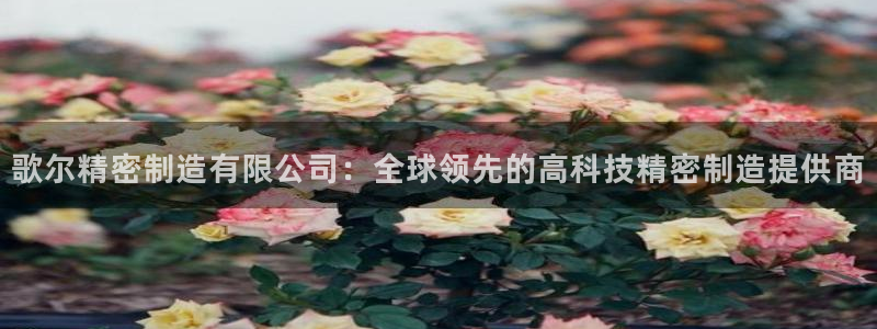 彩神iv争霸购彩大厅：歌尔精密制造有限公司：全球领先的高科技精密制造提供商