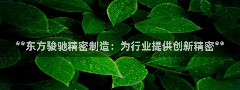 彩神通官方网：**东方骏驰精密制造：为行业提供创新精密**