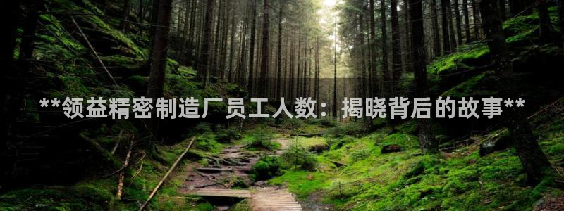 彩神v争霸有限公司：**领益精密制造厂员工人数：揭晓背后的故事**