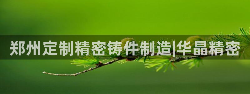 彩神velcome购彩大厅：郑州定制精密铸件制造|华晶精密