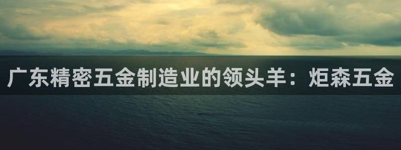 彩神平台：广东精密五金制造业的领头羊：炬森五金