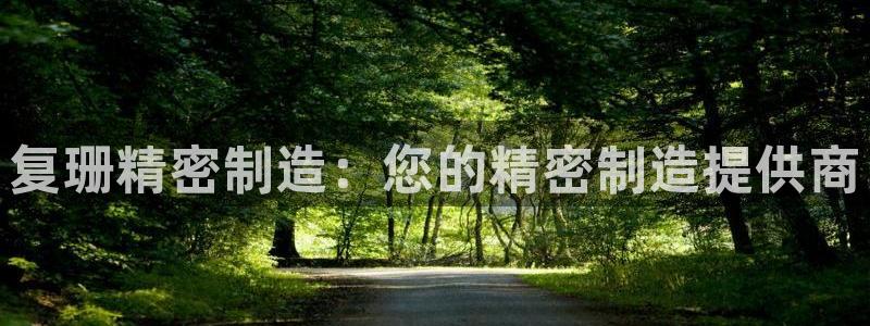 彩神v8下载app：复珊精密制造：您的精密制造提供商
