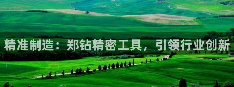 彩神争霸平台：精准制造：郑钻精密工具，引领行业创新