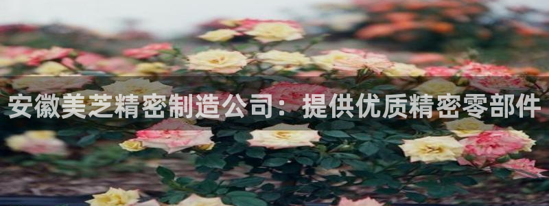 彩神v秘聊号码：安徽美芝精密制造公司：提供优质精密零部件