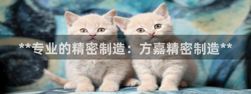 彩神vip购彩：**专业的精密制造：方嘉精密制造**