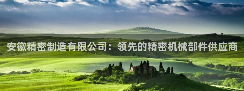 彩神ii官方网：安徽精密制造有限公司：领先的精密机械部件供应商