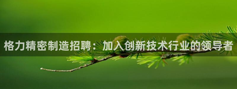 彩神v违法么：格力精密制造招聘：加入创新技术行业的领导者