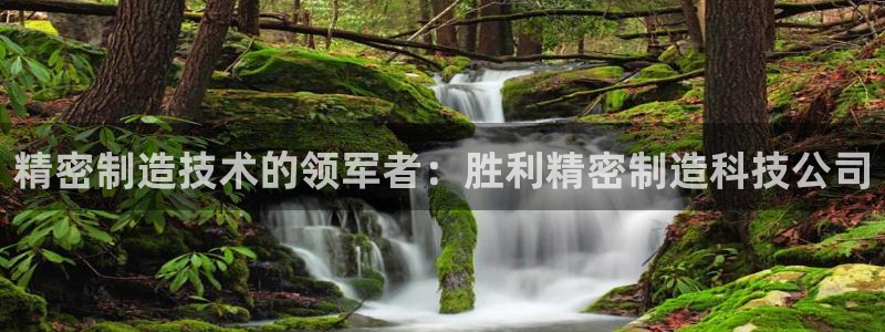 彩神到底能不能赚钱：精密制造技术的领军者：胜利精密制造科技公司