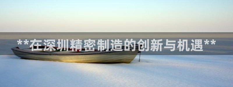 彩神ix官网是哪个公司的：**在深圳精密制造的创新与机遇**