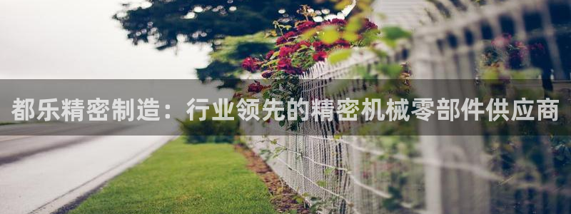 彩神广告有限公司：都乐精密制造：行业领先的精密机械零部件供应商