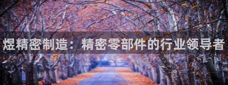 彩神购彩购彩大厅入口v：煜精密制造：精密零部件的行业领导者