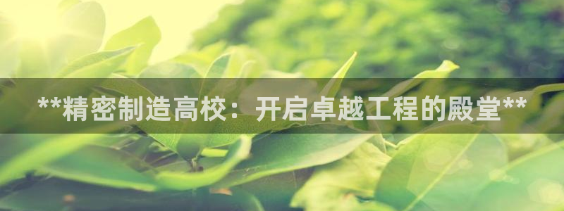 彩神8是正规平台吗知乎：**精密制造高校：开启卓越工程的殿堂**