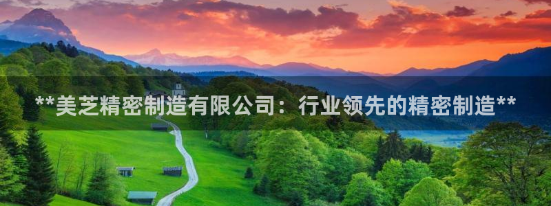 彩神v彩搜狗：**美芝精密制造有限公司：行业领先的精密制造**