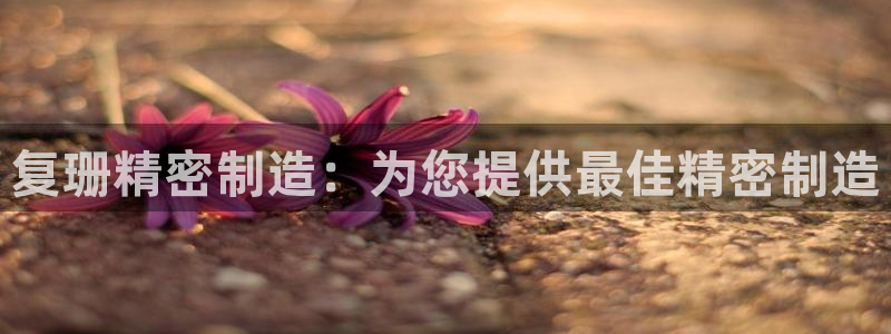 天天赢彩神：复珊精密制造：为您提供最佳精密制造