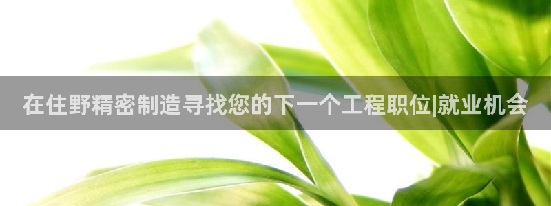 彩神是正规平台吗：在住野精密制造寻找您的下一个工程职位|就业机会