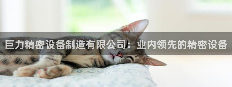 彩神app赚钱是真是假：巨力精密设备制造有限公司：业内领先的精密设备