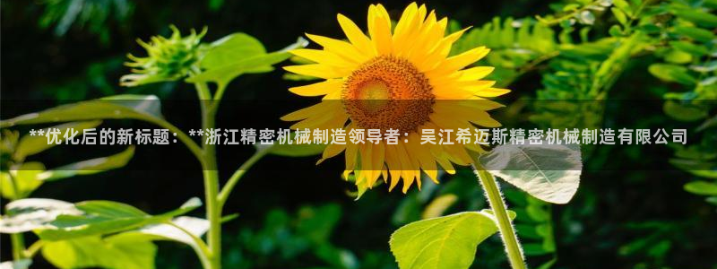彩神合法吗.是国家认可的吗：**优化后的新标题：**浙江精密机械制造领导者：吴江希迈斯精密机械制造有限公司