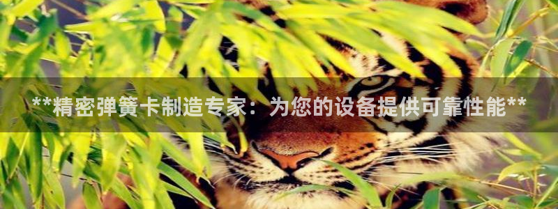 彩神v8客户端：**精密弹簧卡制造专家：为您的设备提供可靠性能**